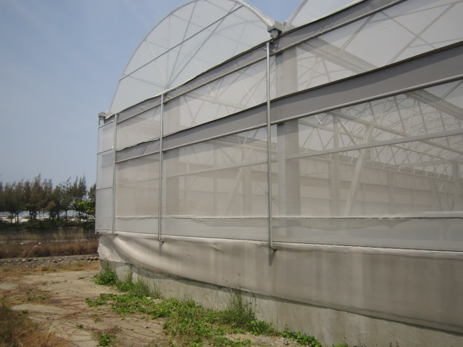 水產試驗所-基因轉殖水產生物隔離試驗實驗室及進出口管制消毒設備工程 照片4