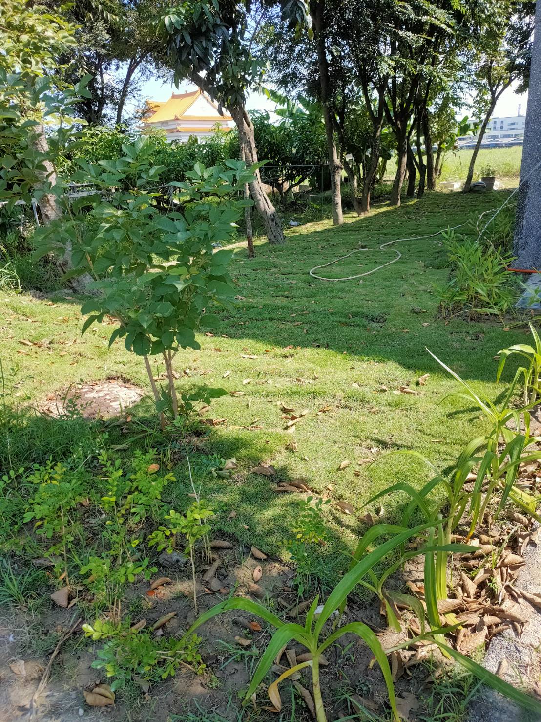 110年度航空噪音改善工程 照片4