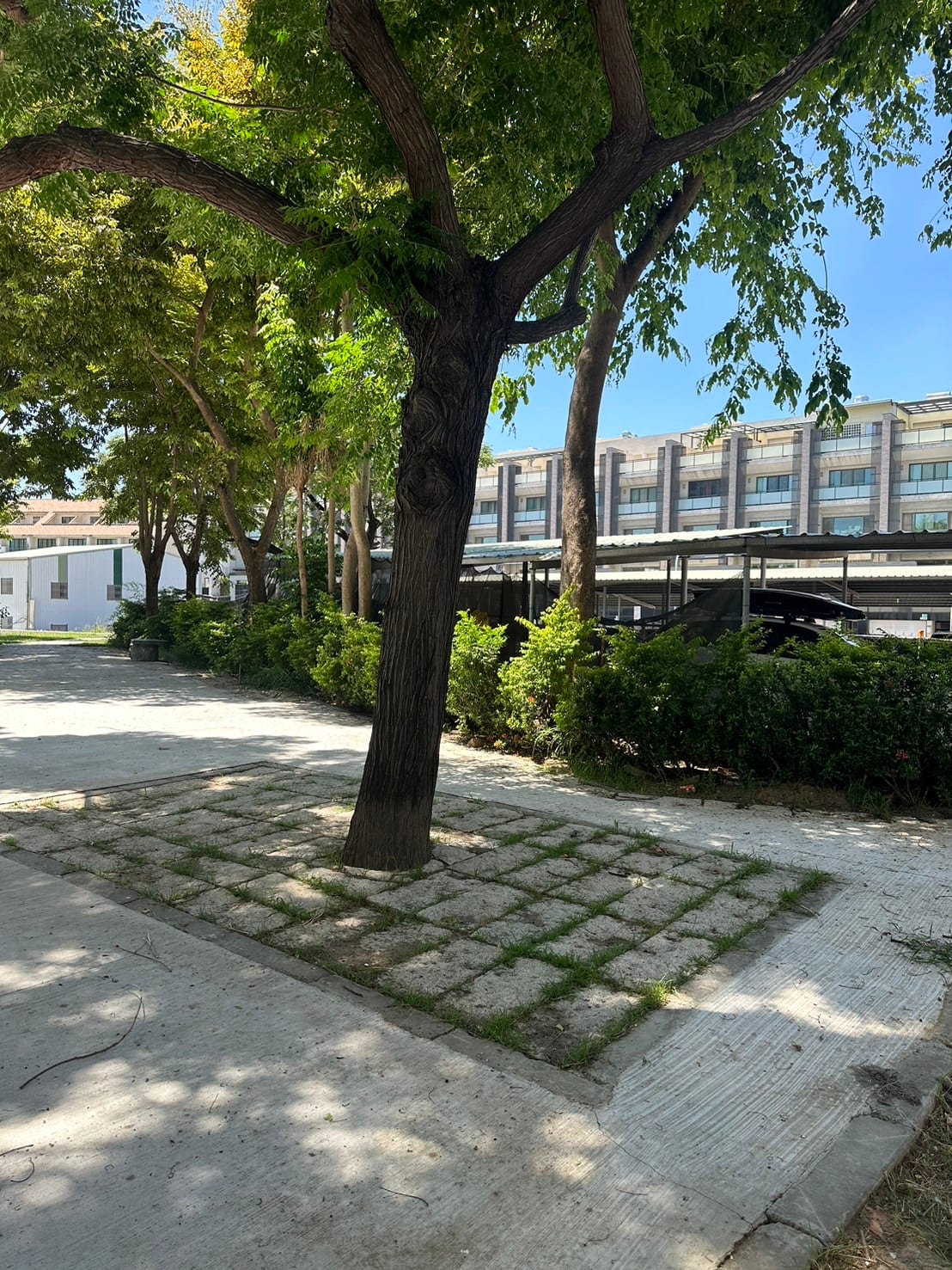 臺南市東區大智寵愛公園改善工程 照片4