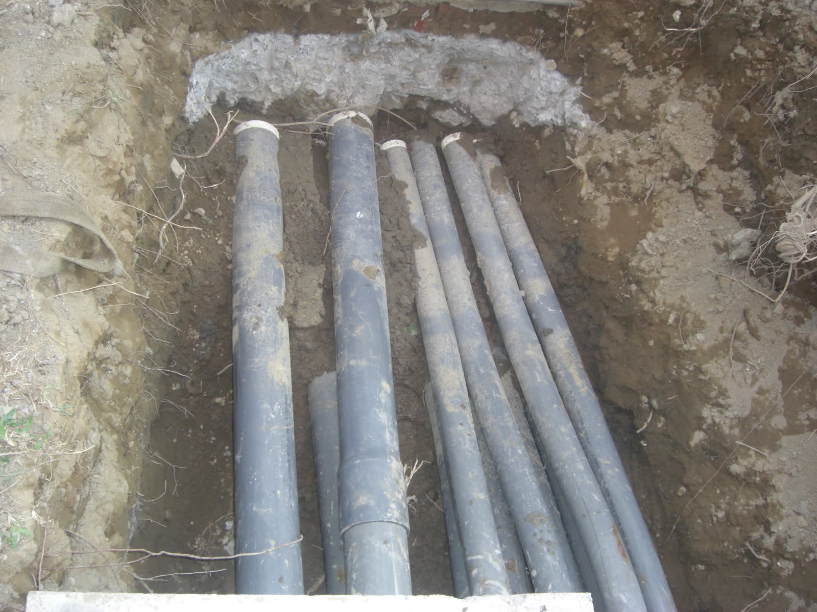 成大生科所、光電所、工資管系防水整修工程