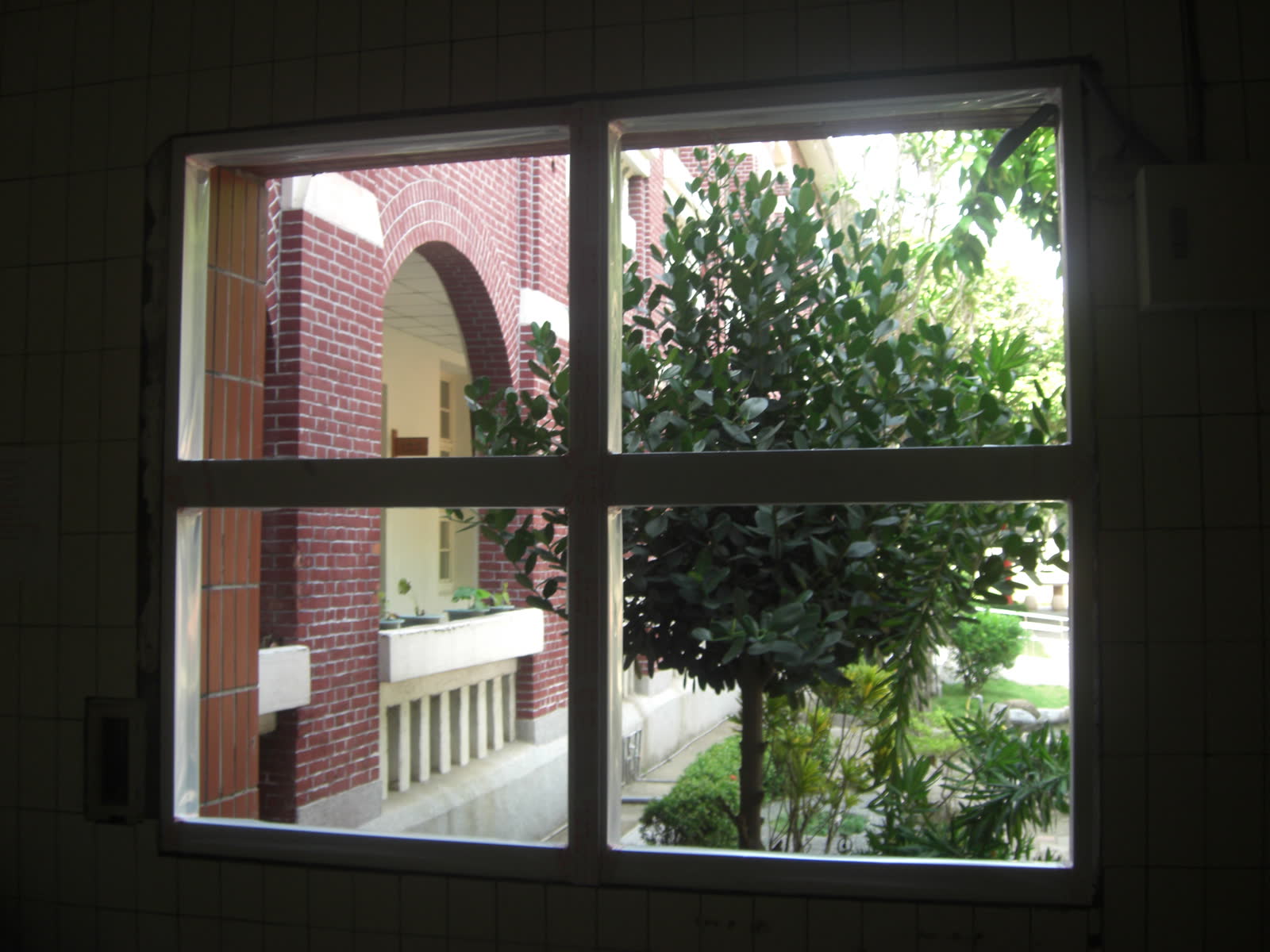 臺南市公園國小棒球訓練環境整修工程 照片3