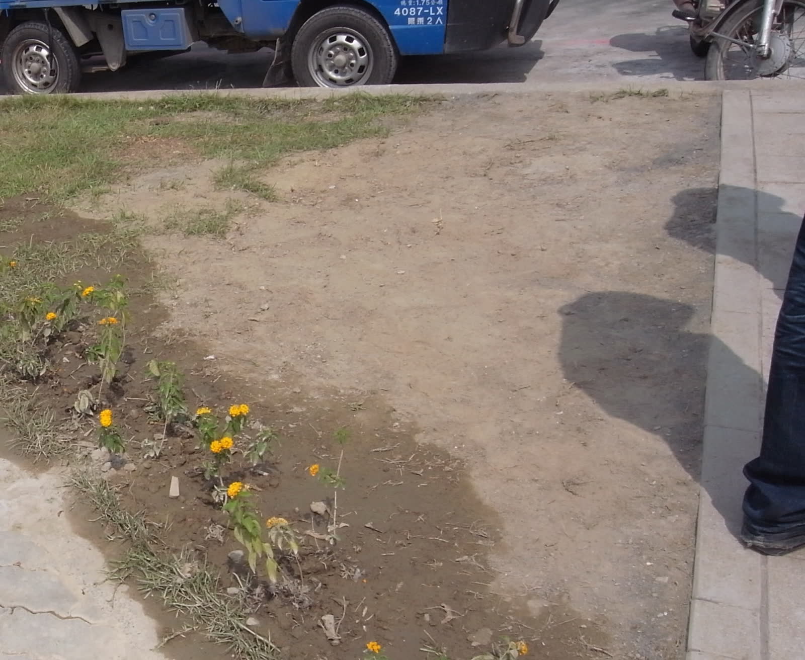 臺南市安平區劍獅公園公共藝術強化工程 照片4